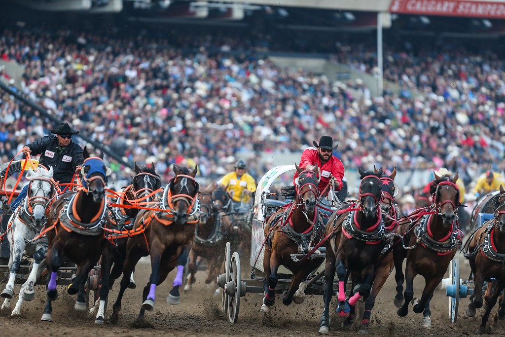 CALGARY STAMPEDE Shuttle July 12, 2025
