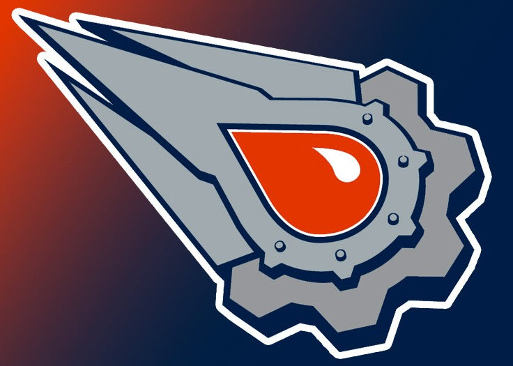 **Edmonton Oilers vs Florida Panthers - Stanley Cup Final Game 2 - June 06