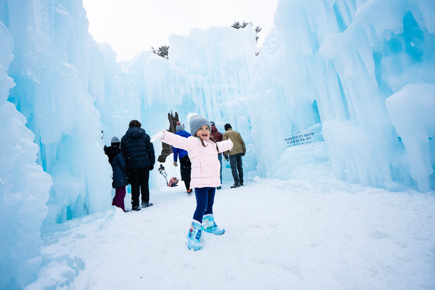Camrose to Edmonton ICE CASTLE – December 2025 | Horizon Charters