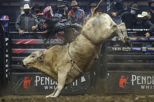 *CANADIAN FINALS RODEO Round Trip Shuttle - Edmonton Sept 04