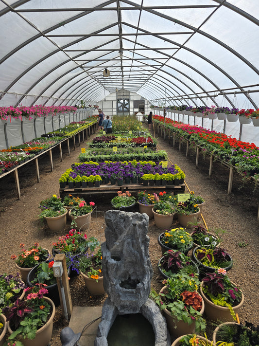 GREENHOUSE TOUR #2 May 08, 2025